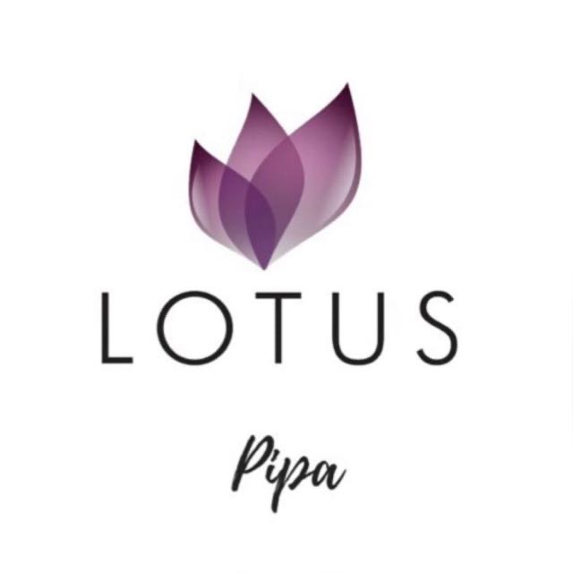 Lotus - Pipa