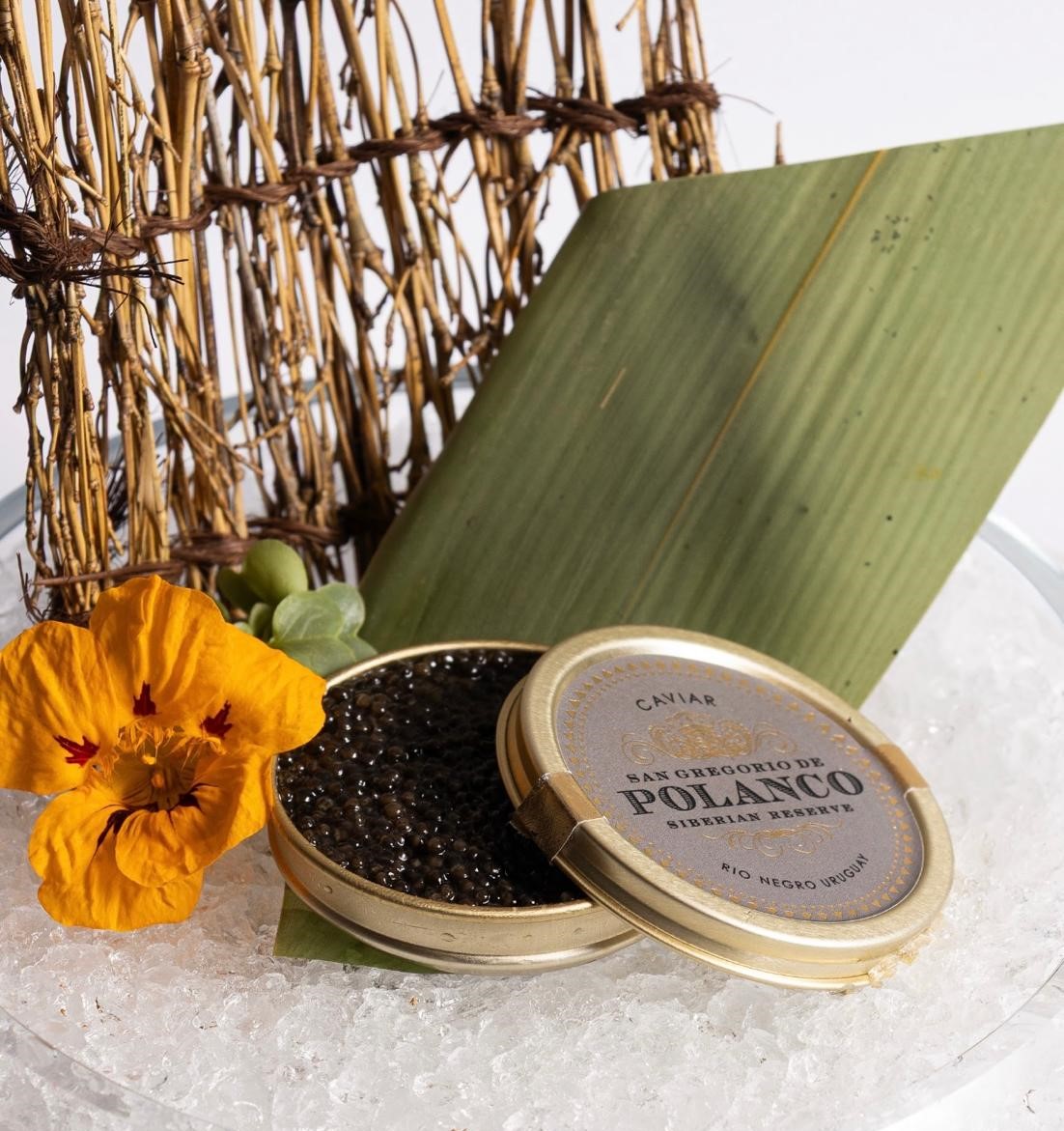 AHY Prime Sushi slide 0