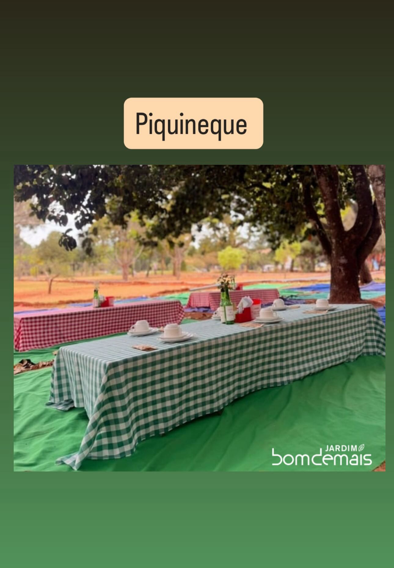 Jardim Bom Demais slide 4