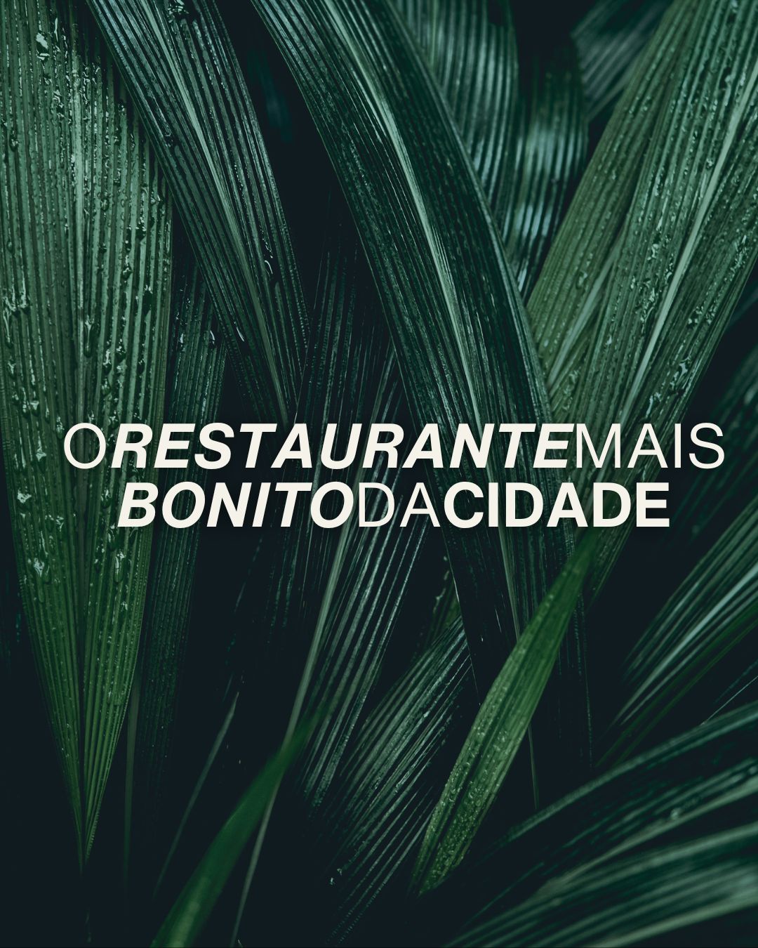 O Restaurante Mais Bonito Da Cidade