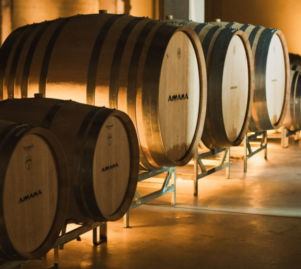 Vinícola Amana slide 5